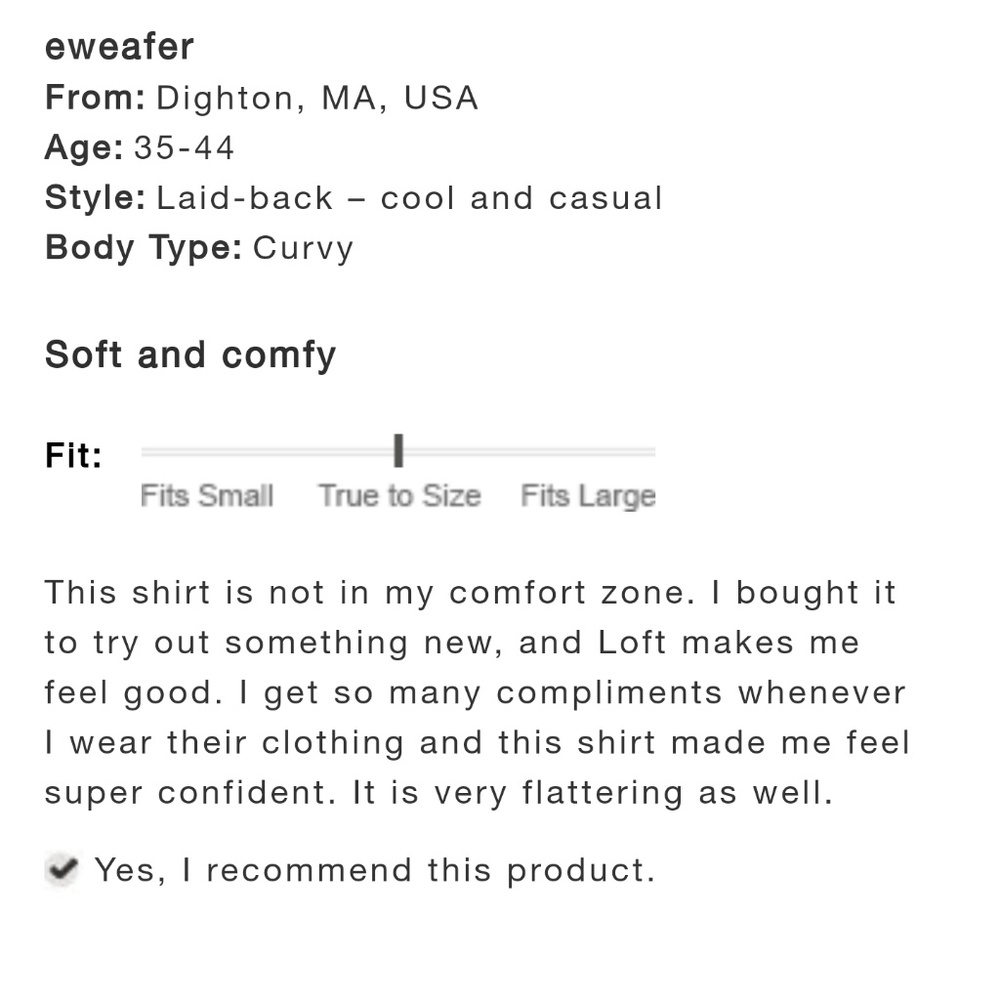 NWT LOFT | Off Shoulder Embroidered Top - Picture 6 of 7